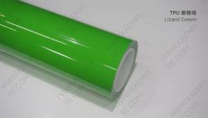 210 蜥蜴绿 — Ящерично-зелёный